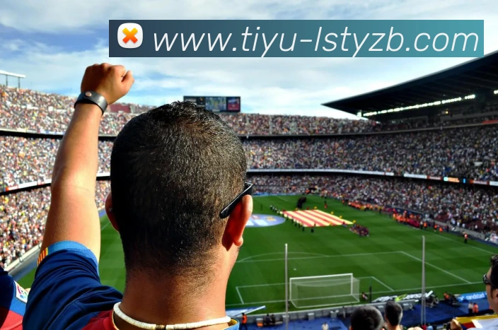 App Interface Preview